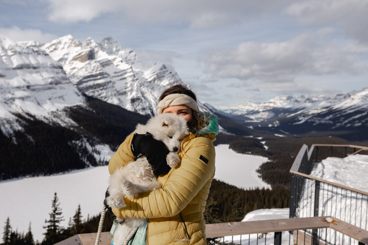 Banff Elopement Photographer holding a samoyed