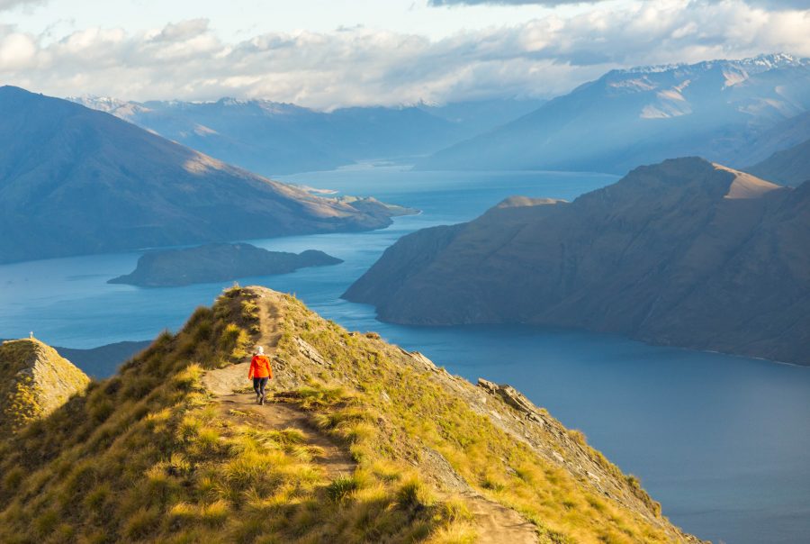 New Zealand wedding and elopement photographer in roys peak