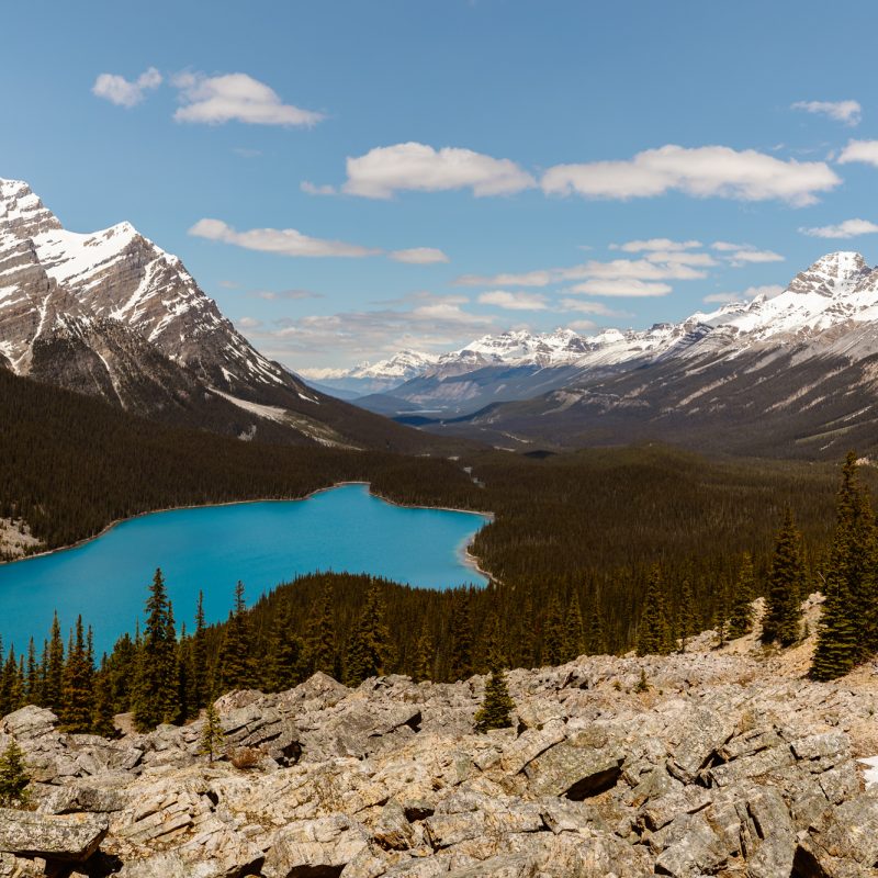 peyto lake small wedding photographer