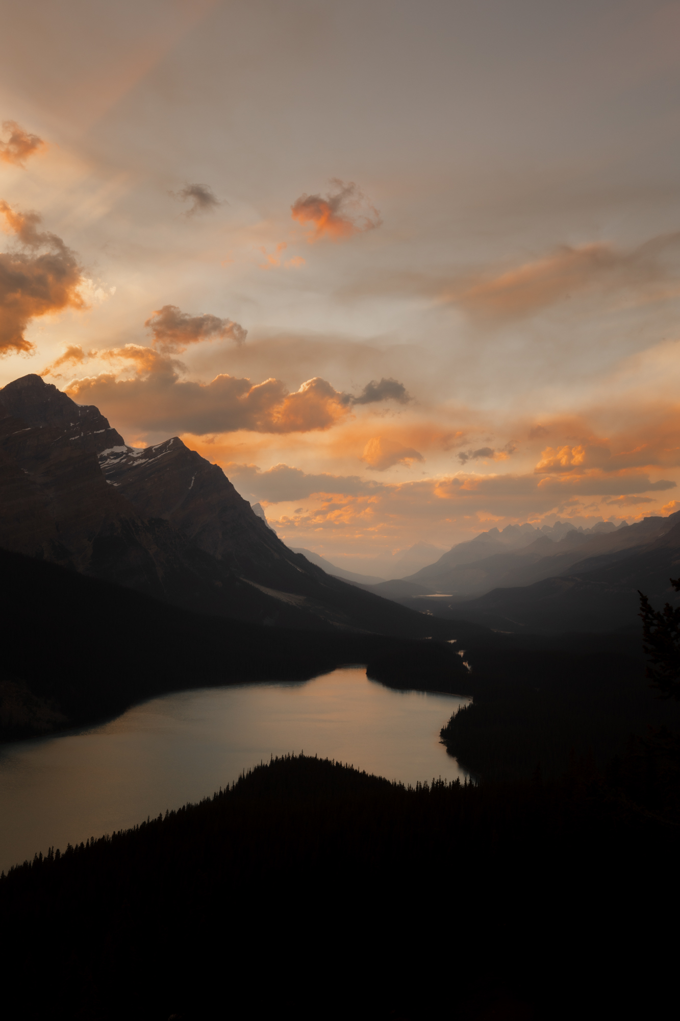 peyto lake small wedding photographer