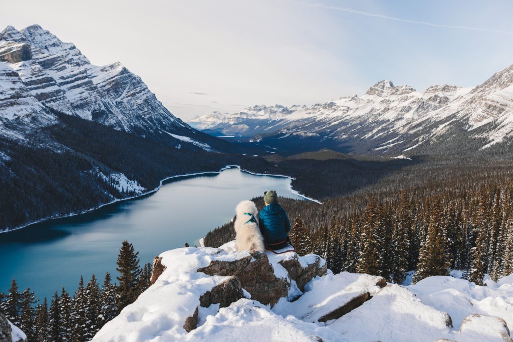 Peyto Lake Photography